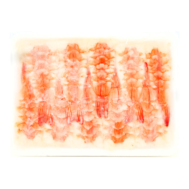 Sushi Prawn ASC 5L 20pc