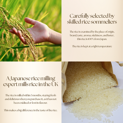 Premium Hokkaido Yumepirika Rice 5kg - Milled in London